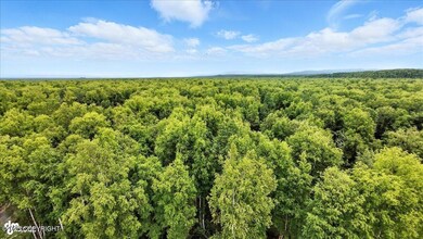 02-DJI_20250630080245_0384_D