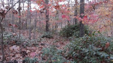 0 Drew Ct unit RTC3050467, Smithville, TN 37166 - photo 5