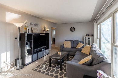 1000 Hein Ave, Lansing, MI 48911 - photo 5