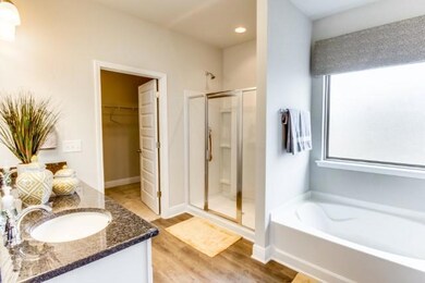 Victoria master bath 1