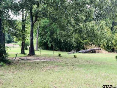 15595 Vantage View Dr, Tyler, TX 75707 - photo 4