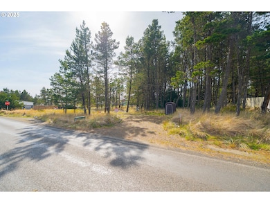 29507 I St, Ocean Park, WA 98640 - photo 2