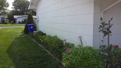 Beautiful Perennials