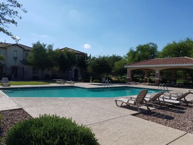 Pool and Spa