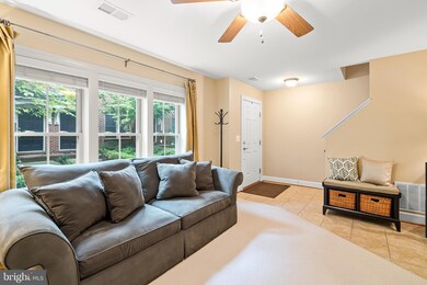 3409 Kemper Rd, Arlington, VA 22206 - photo 4