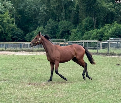 2224 Carter St unit Tract C, Camden, SC 29020 - photo 5