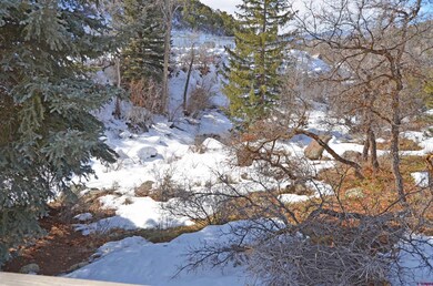 20602 Surface Creek Rd, Cedaredge, CO 81413 - photo 3