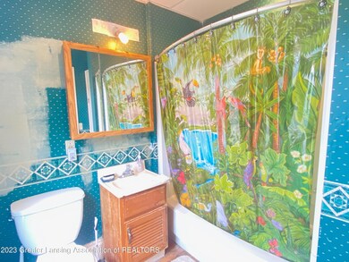 519 N Chestnut St, Lansing, MI 48933 - photo 5