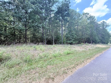 4.7 Acres Blade Run Rd, Edgemoor, SC 29712 - photo 2