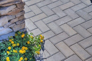 DSC_6401pavers