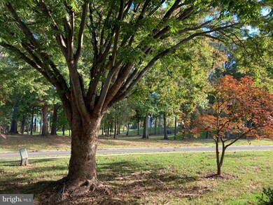 3210 Gleneagles Dr, Silver Spring, MD 20906 - photo 5