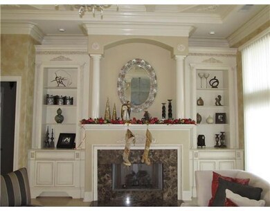 Other. Fireplace & Built In Shelves