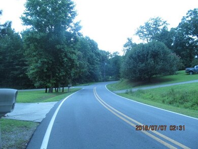 00 Ellis Cir, Chatsworth, GA 30705 - photo 3