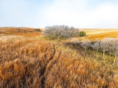 S County Rd 170, Shattuck, OK 73858 - photo 7