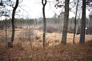 646 W 3 Mile Rd, Luther, MI 49656 - photo 5