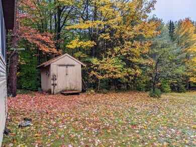 Lori shed in the fall