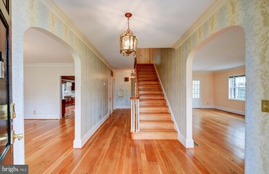 6304 N Charles St, Baltimore, MD 21212 - photo 3