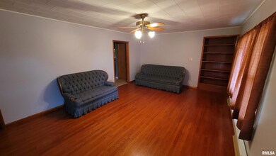 2234 Red Stripe Rd, Odin, IL 62870 - photo 3