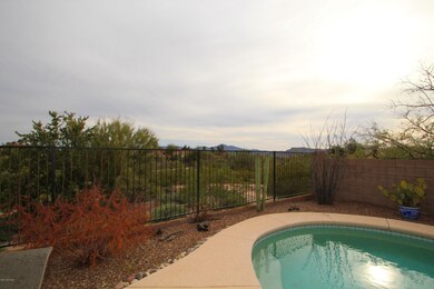 Backyard View