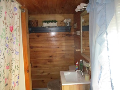 228 Rockey Rd, Loganton, PA 17747 - photo 5