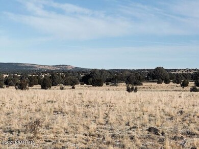 98-D 10 Tanks Rd, Ash Fork, AZ 86320 - photo 4