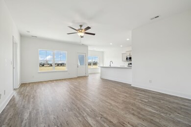 2042 Cincinnati Crossing, Murfreesboro, TN 37127 - photo 6