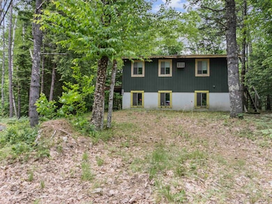 31 Suissevale Ave, Moultonborough, NH 03254 - photo 3