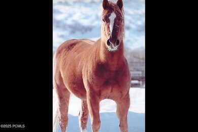 5924 N Triple Crown Trail unit 16, Oakley, UT 84055 - photo 7