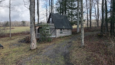 3655 Jordan Rd, Cincinnatus, NY 13040 - photo 4