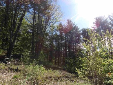 86 Alice Smith Rd, Walpole, NH 03608 - photo 4