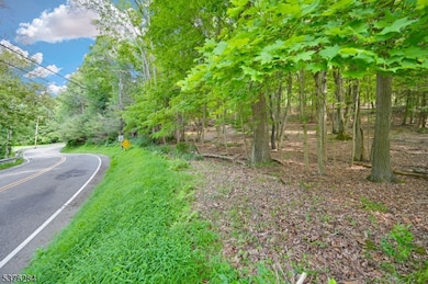 51 Paulinskill Lake Rd, Fredon Twp., NJ 07860 - photo 6