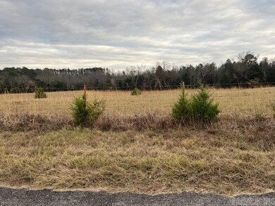 80 Spires Rd, Damascus, AR 72039 - photo 5