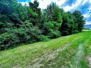 6 ac hwy 61 fayette pic 2