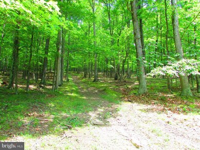 17 Rock Slide Way, Romney, WV 26757 - photo 3