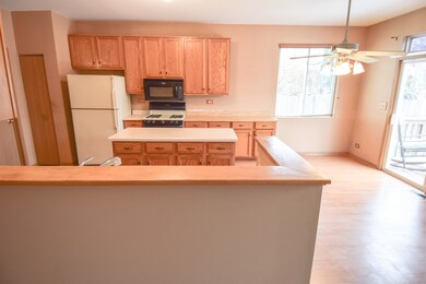 12244 Pear Tree Way, Plainfield, IL 60585 - photo 7