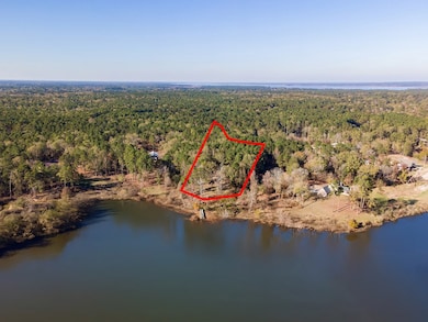 100 Lost Maples Rd, Huntington, TX 75949 - photo 4