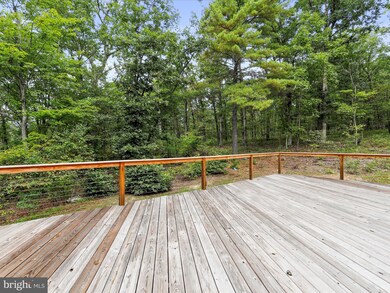 236 Teals Ln, Berkeley Springs, WV 25411 - photo 4