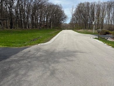 258 S Root Dr, Crete, IL 60417 - photo 4