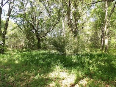 1558 Scott Hill Rd, Charleston, SC 29412 - photo 3