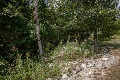 Tbd Lot 19 Overlook Phase 1, Kimberling City, MO 65686 - photo 7