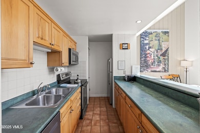 508 E Lionshead Cir unit 604/Week 9, Vail, CO 81657 - photo 7