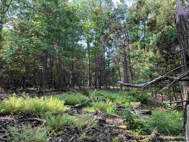 Lot 1 TBD Cherry Hill Rd, Stone Ridge, NY 12484 - photo 5