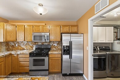 830 Donegan Rd unit D, Glenwood Springs, CO 81601 - photo 5