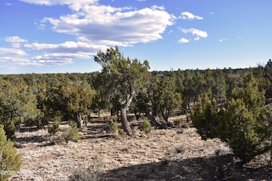 4367 Sunset Ridge Loop, Happy Jack, AZ 86024 - photo 5