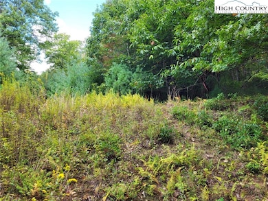 TBD Parkway Pointe Dr, West Jefferson, NC 28694 - photo 6