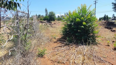 8645 Skyway, Paradise, CA 95969 - photo 6