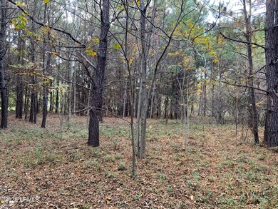 33 Pearl Harbor Dr, Seabrook, SC 29940 - photo 3