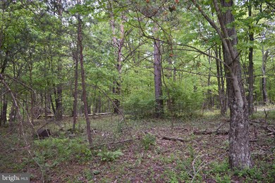 458 Gaither Rd, Great Cacapon, WV 25422 - photo 2