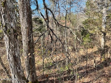 0 Happy Hollow Ln unit 1273078, Sevierville, TN 37876 - photo 4