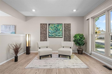 3766 S Nelson Way, Denver, CO 80235 - photo 5